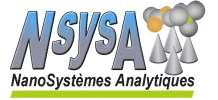 Logo adherent ISM - GROUPE NSYSA