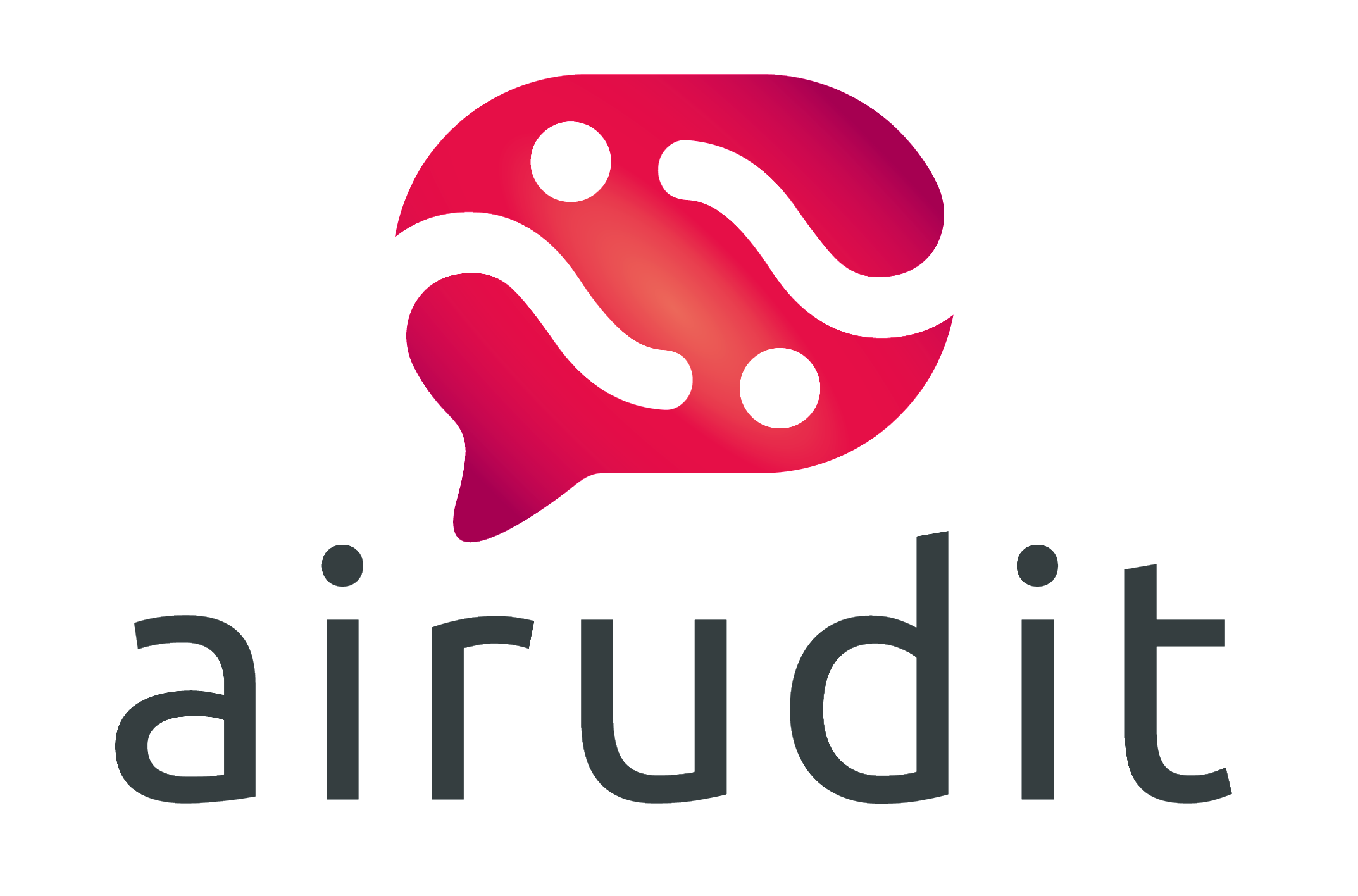 Logo adherent AIRUDIT