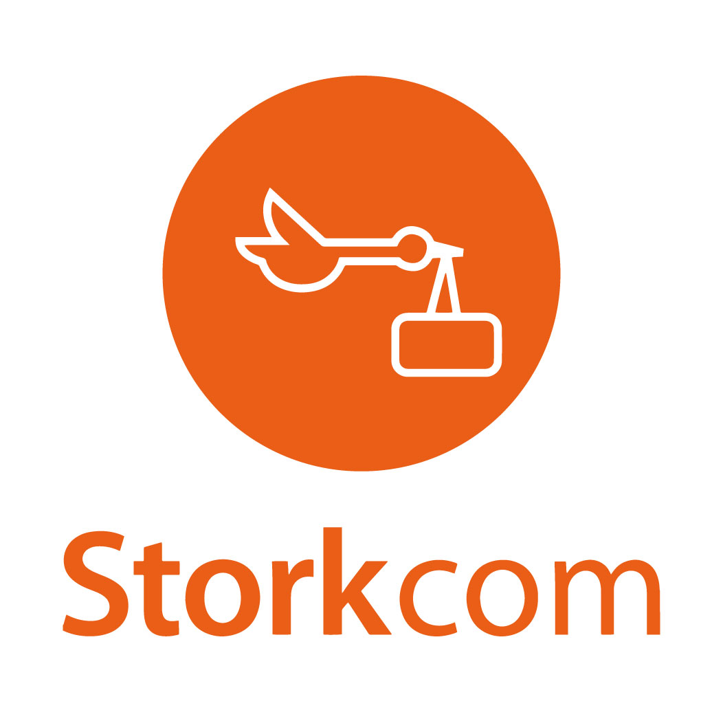 Logo adherent STORKCOM