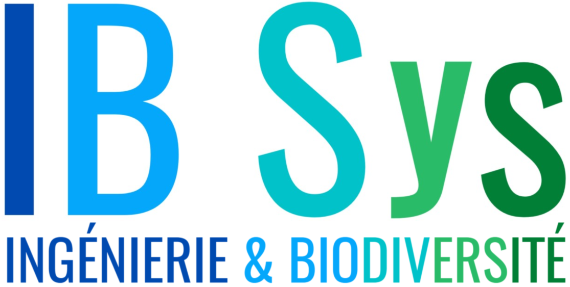 Logo adherent IB Sys