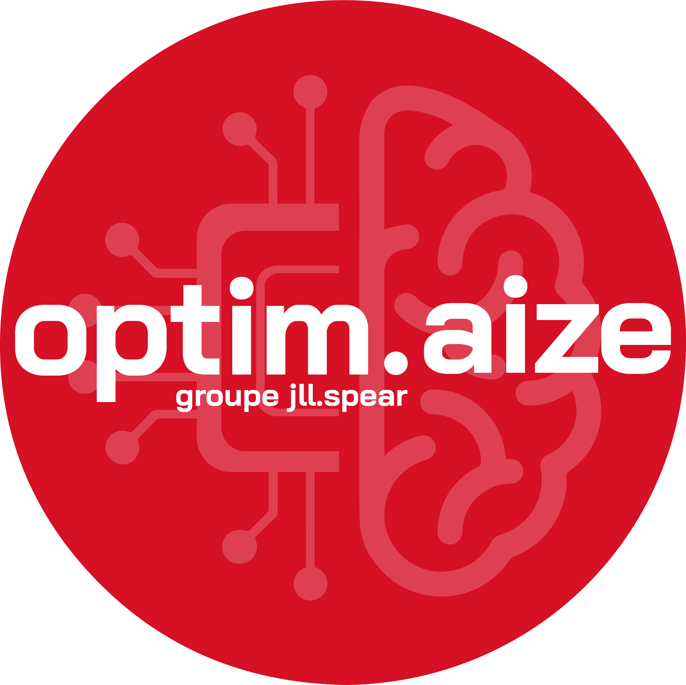 Logo adherent OPTIM.AIZE