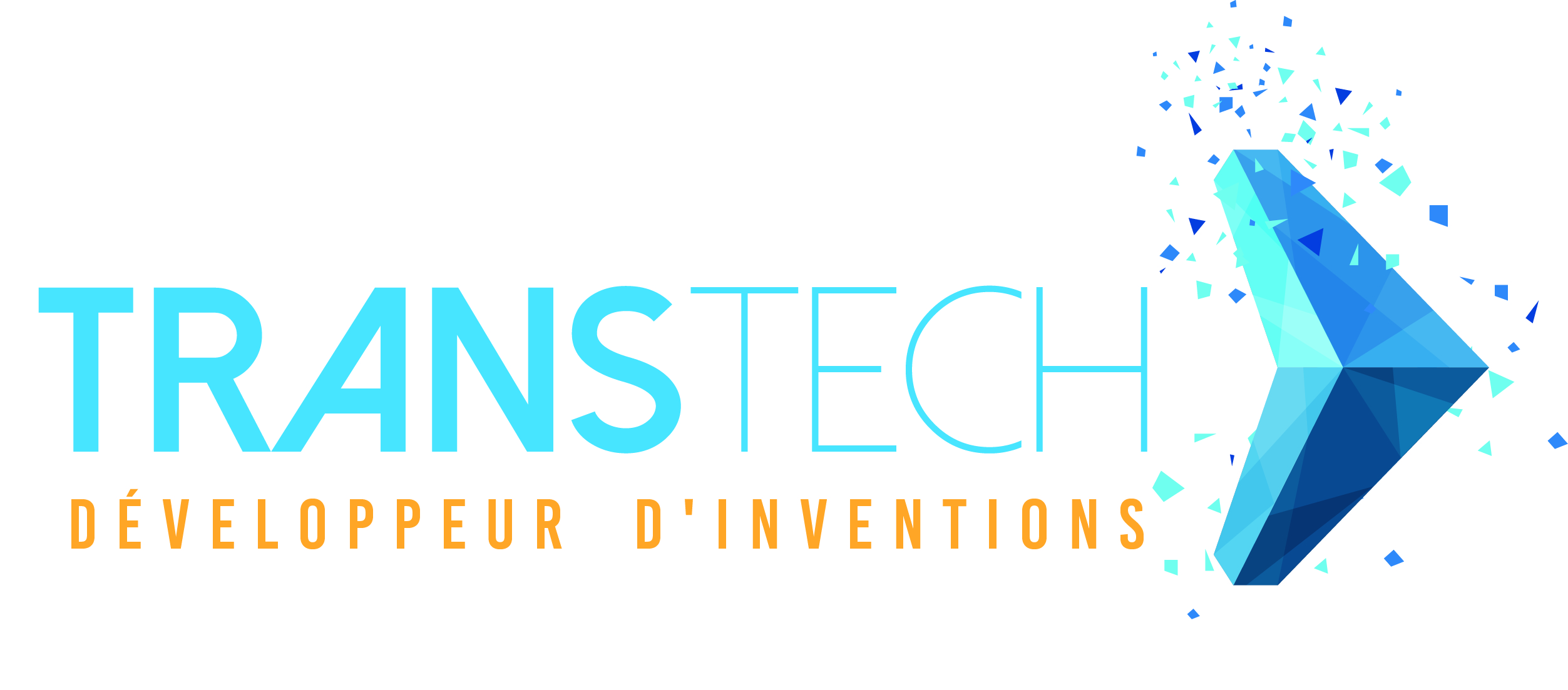 Logo adherent TRANSTECH